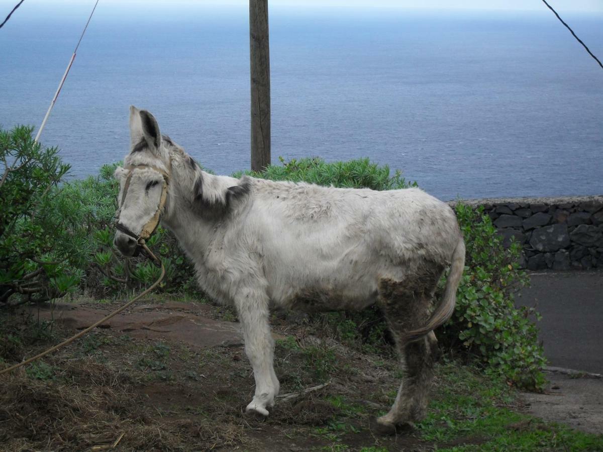 Casa Rural Arguamul Vallehermoso Eksteriør billede